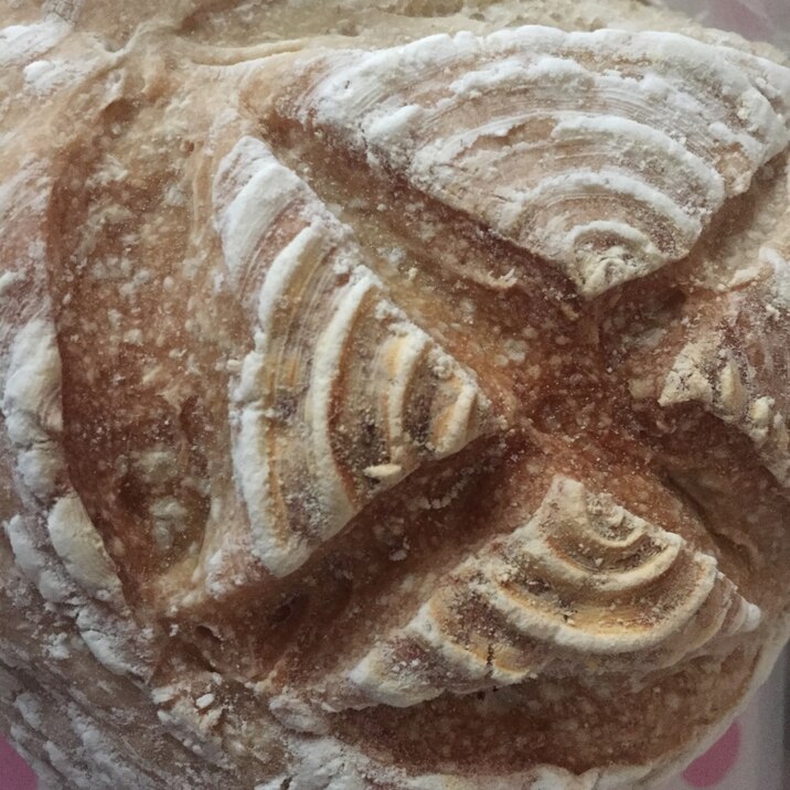 中力粉と全粒粉でカンパーニュ